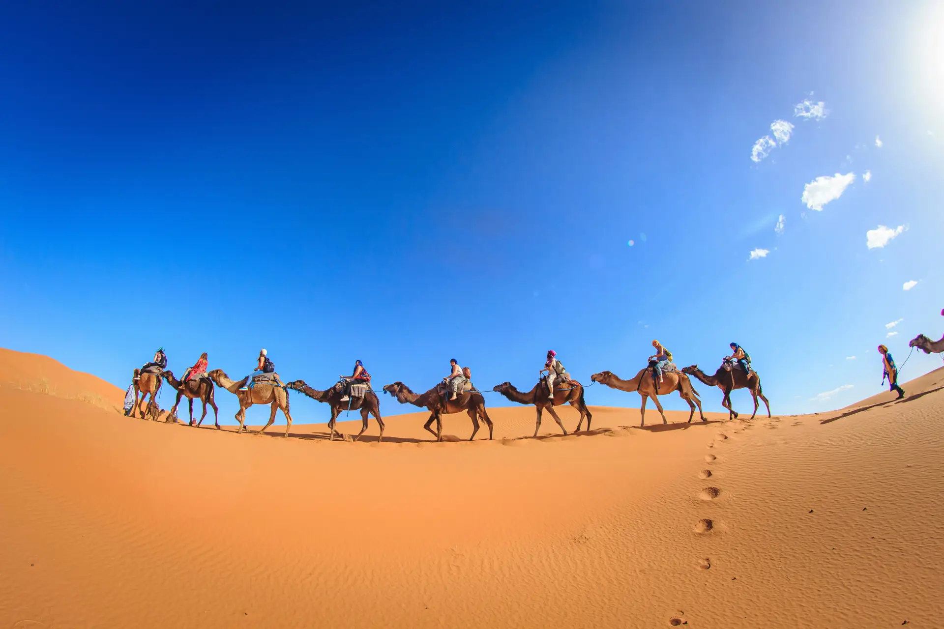 Camel caravan crossing desert dunes