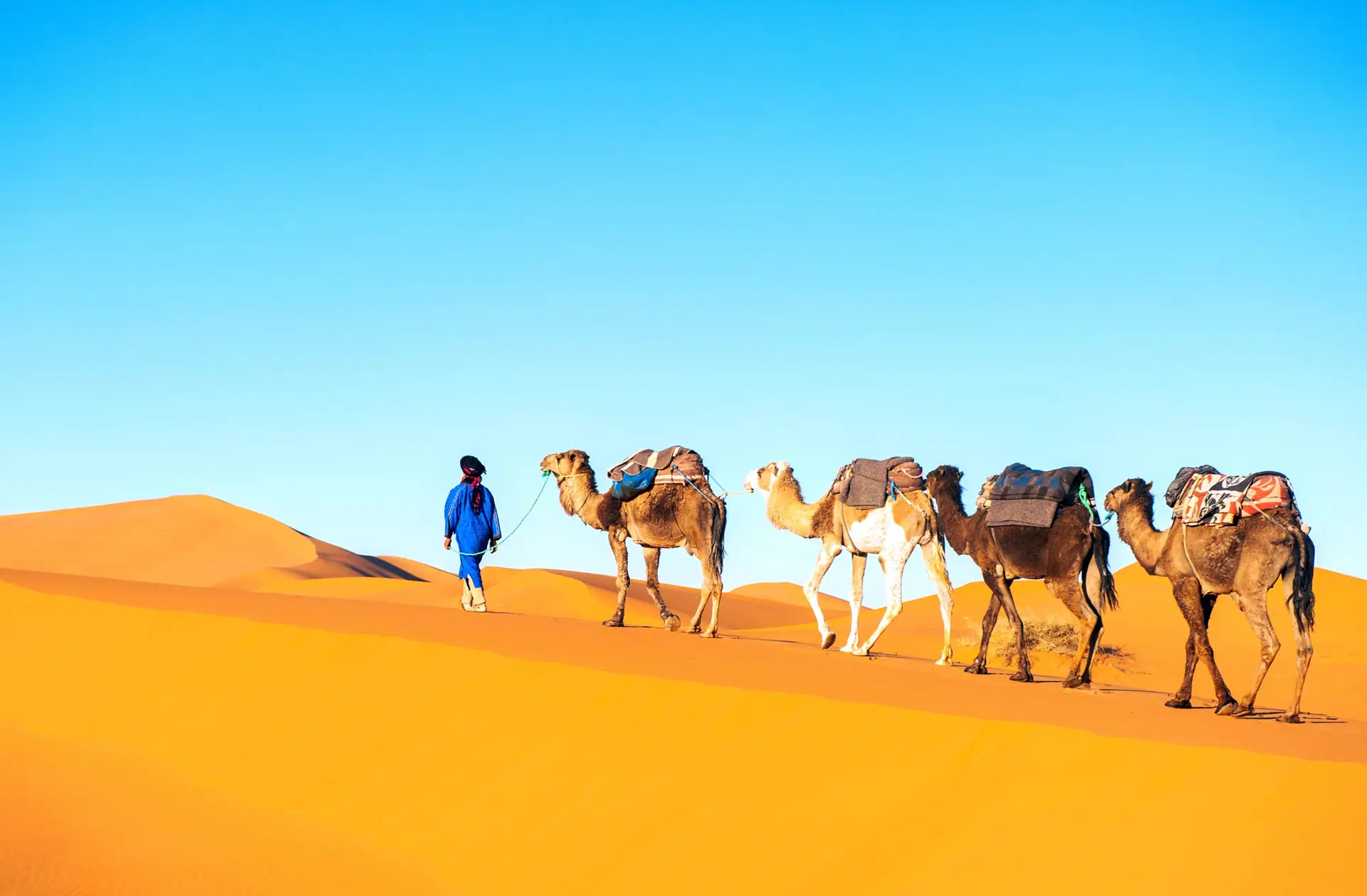 Crossing the silence of the Moroccan desert