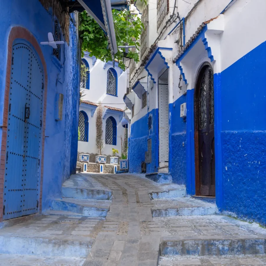 Αυτοκρατορικό Πανόραμα